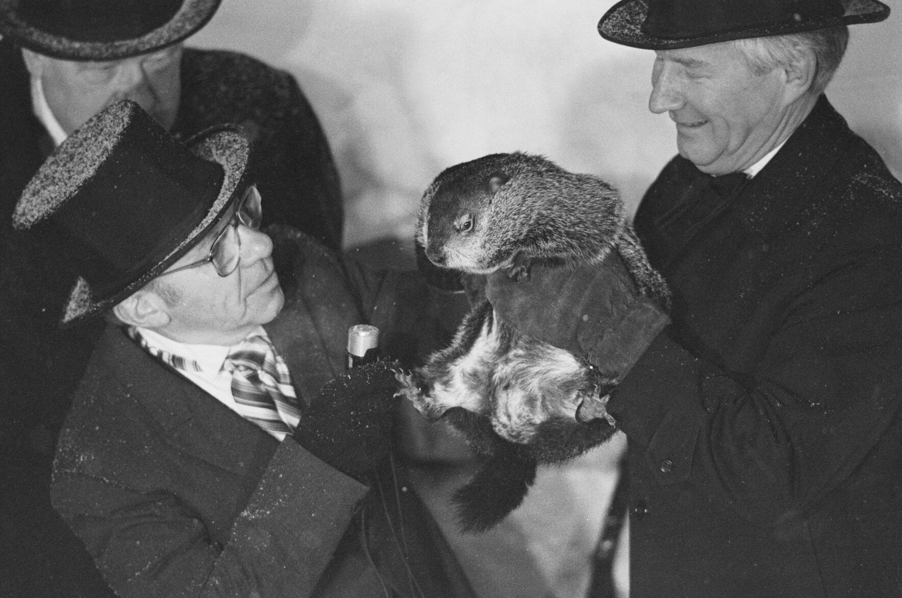 Groundhog day